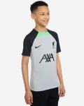 LFC Nike Youth 23/24 Short Sleeve Strike Training Top Grey