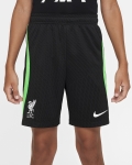 LFC Nike Youth 23/24 Strike Training Shorts
