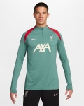LFC Nike Mens 24/25 Players Strike Drill Top Green
