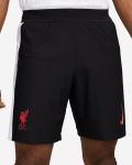 LFC Nike Mens 24/25 Third Match Shorts