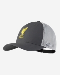 LFC Nike Adults 24/25 Aerobill C99 Cap Dark Grey