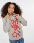 LFC Junior Liverbird Hoody Grey