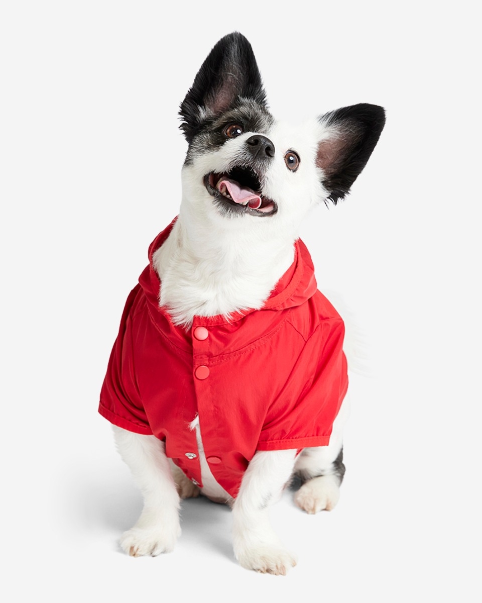 LFC Dog Coat