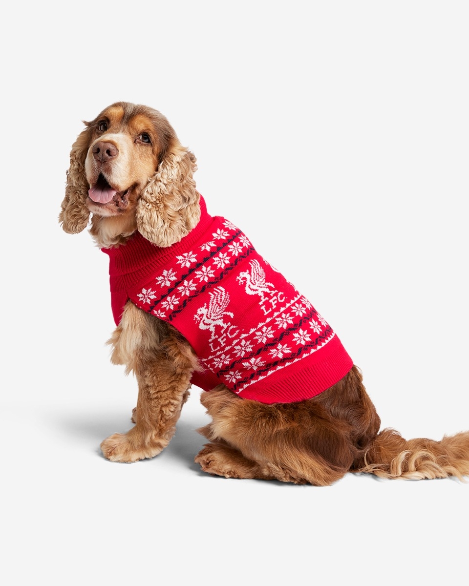 LFC Dog Christmas Jumper