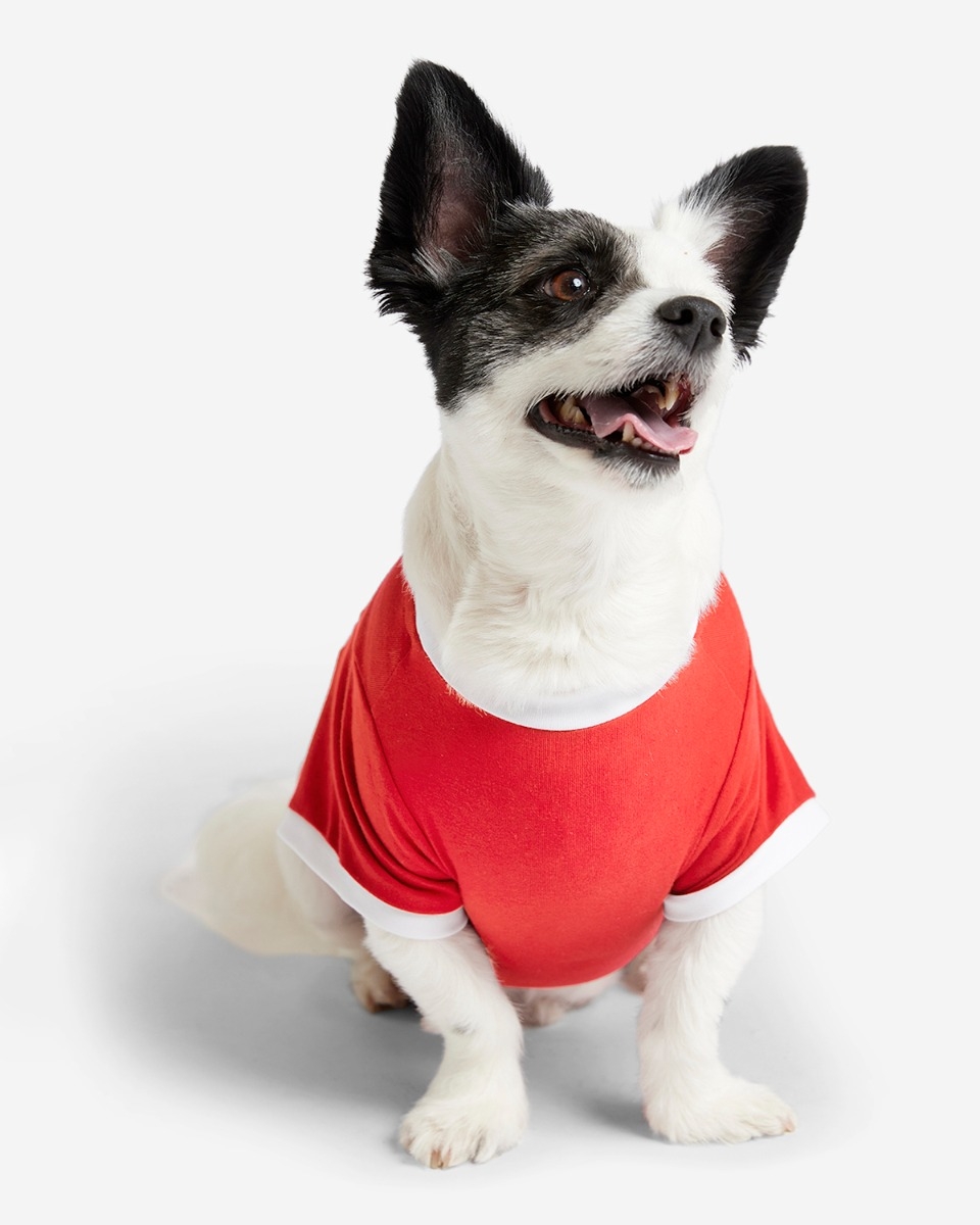 LFC 23 24 Home Pet Tee