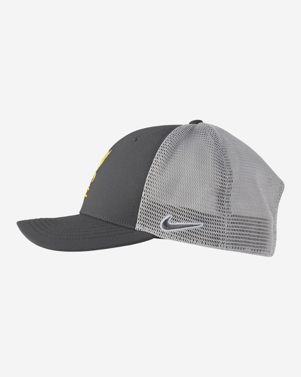 Nike aero c99 mesh cap 2025
