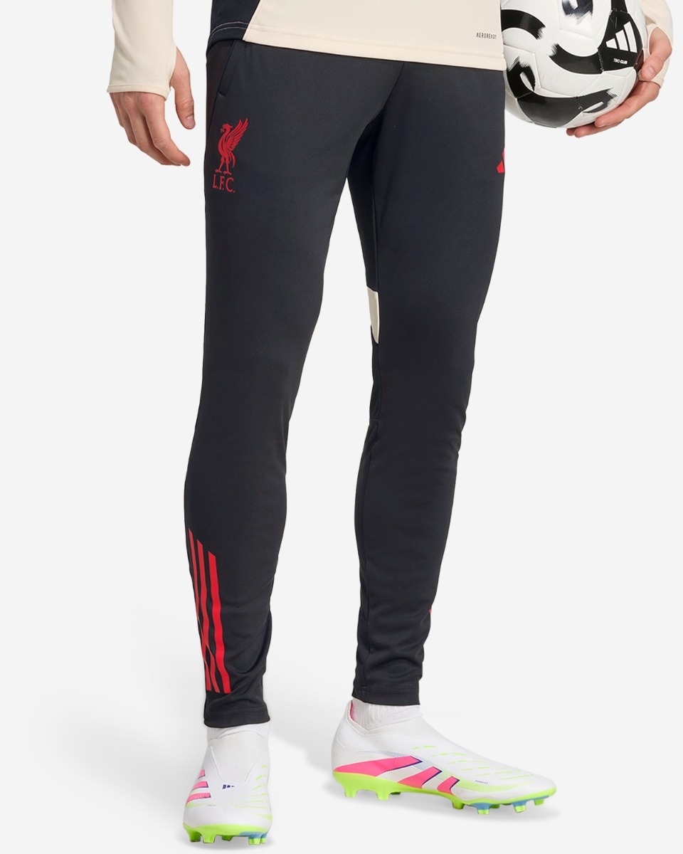 LFC adidas Mens 25/26 Domestic Training Pants Black