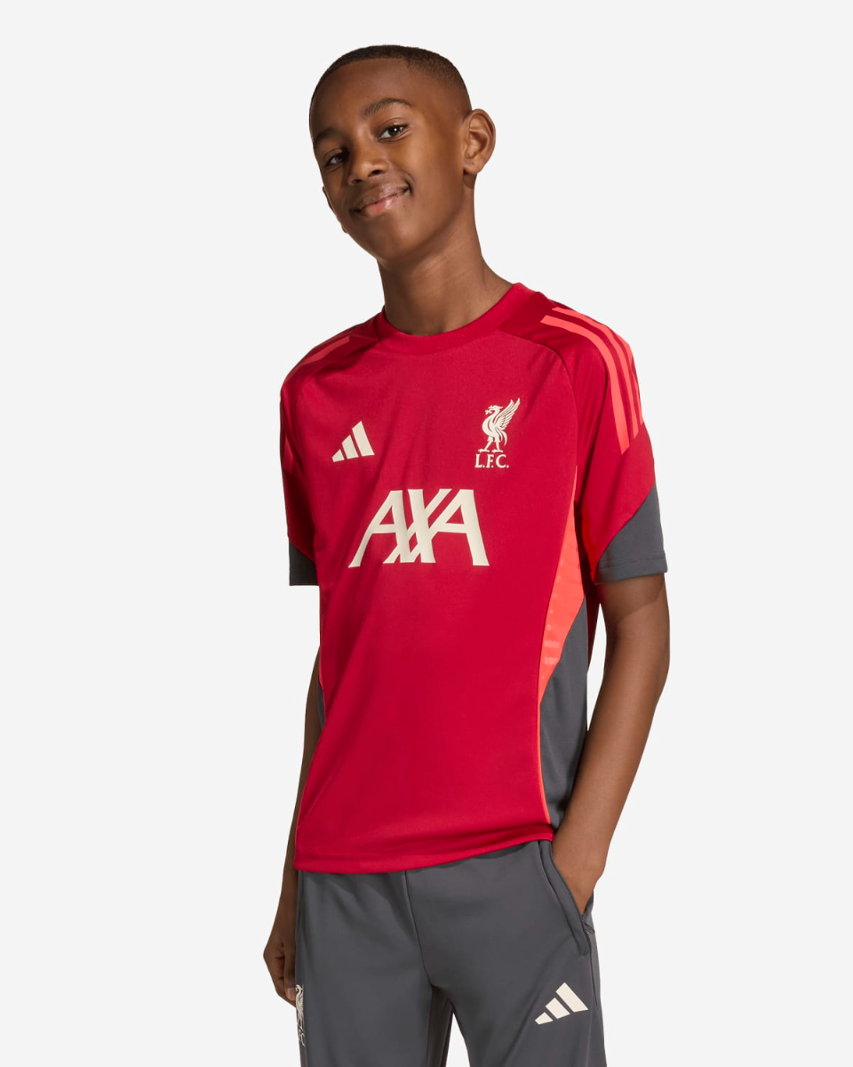 Liverpool FC adidas レッドシャツ Lサイズ Liverpool FC adidas レッドシャツ Lサイズ