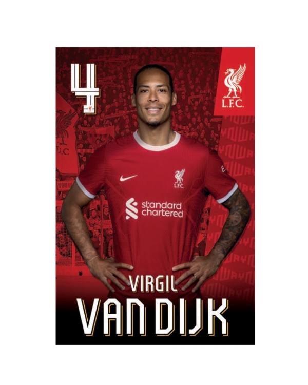 4 - Virgil van Dijk (フィルジル・ファン・ダイク) - 男子チーム - 選手