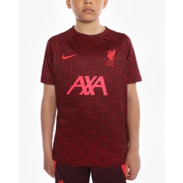 Nike Liverpool FC 2020-21 Youth Short Sleeve Pre-Match Top